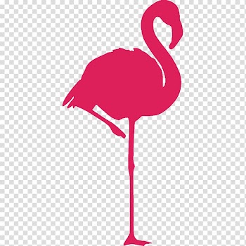 Flamingo , Greater flamingo Bird American flamingo Sticker, flamingos transparent background PNG clipart