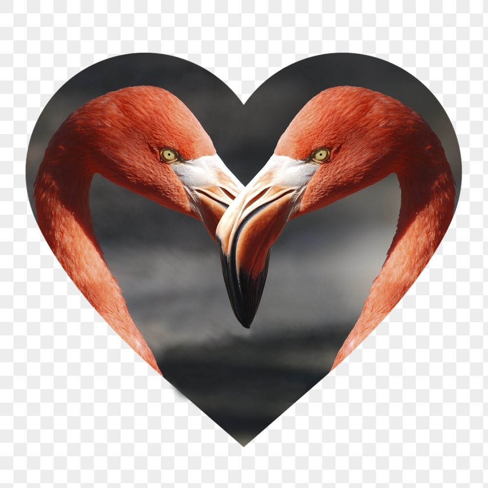 Flamingo heads png badge sticker, | Free PNG - rawpixel