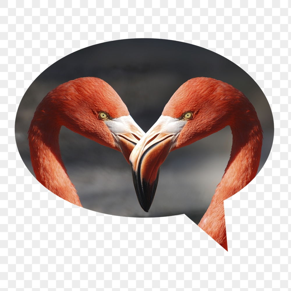 Flamingo heads png badge sticker, | Free PNG - rawpixel