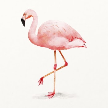 Flamingo illustration, animal watercolor design | Free Photo Illustration - rawpixel