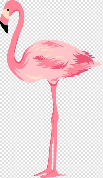 Flamingo illustration, Cygnini Pink, Hand painted pink Swan transparent background PNG clipart