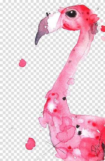 Flamingo illustration, Flamingo Watercolor painting Illustration, Watercolor flamingo transparent background PNG clipart