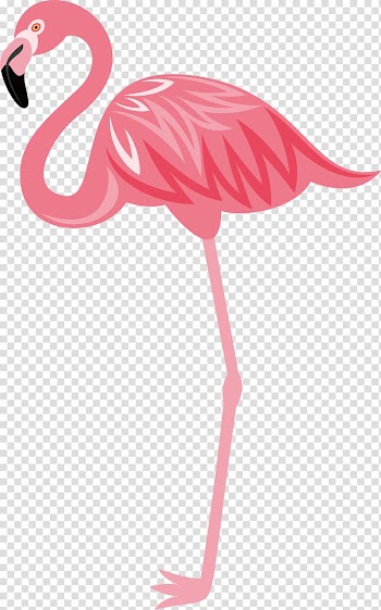 Flamingo illustration, Flamingos Bird Euclidean , Hand-painted flamingos transparent background PNG clipart