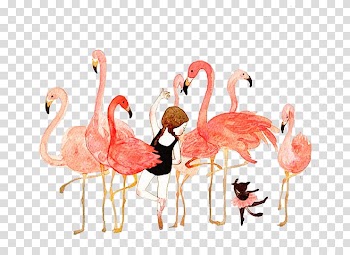 Flamingo Illustration Watercolor painting , flamingo transparent background PNG clipart
