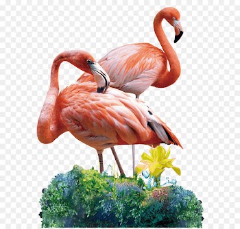 Flamingo Image Painting Online shopping Art - flamingo 