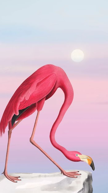 Flamingo iPhone wallpaper, gradient sky | Free Photo Illustration - rawpixel