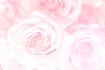 Flamingo pink rose patterned background | Free  illustration - 2345879