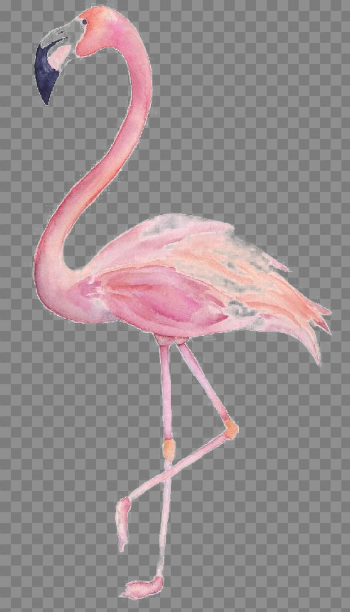 Flamingo PNG Image Transparent