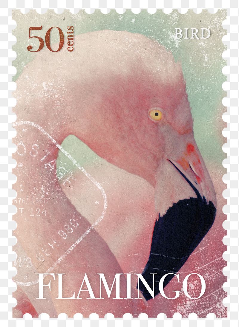Flamingo png post stamp sticker, | Free PNG - rawpixel