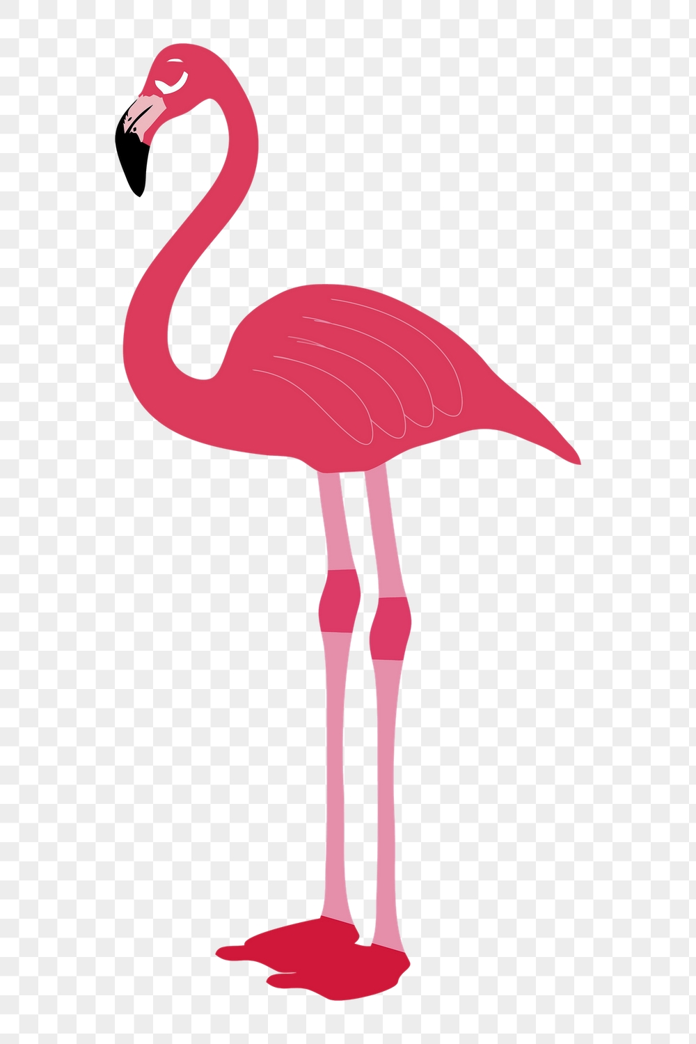 Flamingo png sticker, cute animal | Free PNG - rawpixel
