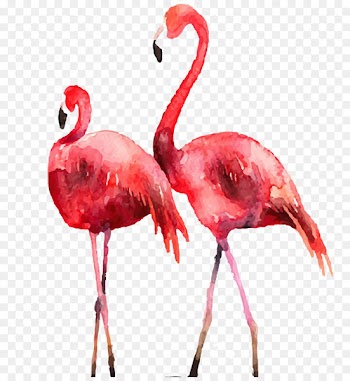 Flamingo Poster Printmaking Illustration - Drawing Flamingos 