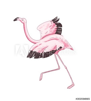Flamingo preparing to fly hand drawn vector illustration