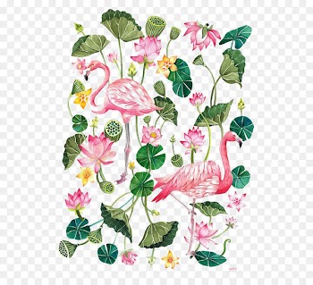 Flamingo Printing T-shirt Illustration - Cartoon Flamingo 