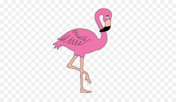 Flamingo Stock photography Free Clip art - flamingo 