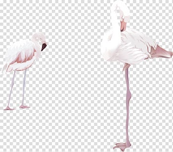 Flamingo , Two watercolor flamingos transparent background PNG clipart