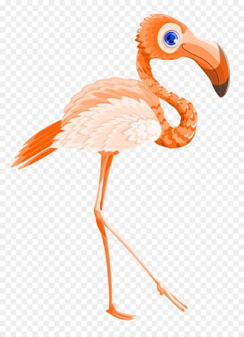 Flamingo Valentines Day - Flamingo Bird Vector 
