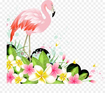 Flamingo - Vector Flamingos 