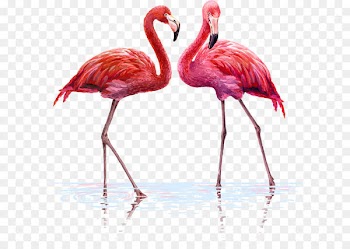 Flamingo Wall decal Tapestry Interior Design Services - One pair of flamingos 