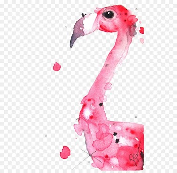 Flamingo Watercolor painting Illustration - Watercolor flamingo 