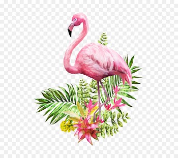 Flamingo Watercolor painting Vector graphics Poster Illustration - flamingo 