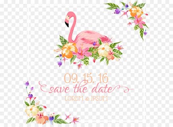Flamingo Wedding invitation Euclidean vector Illustration - Hand-painted colorful flowers 