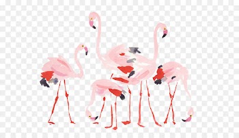 Flamingos Bird - Cartoon Flamingo 