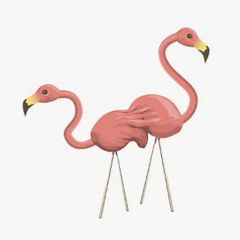 Flamingos clipart, bird illustration vector. | Free Vector - rawpixel