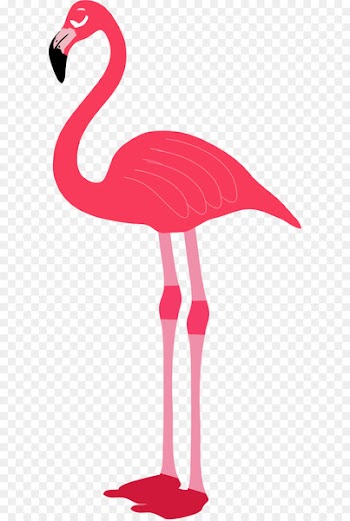 Flamingos Download Computer file - Flamingo PNG 