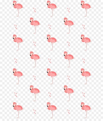 Flamingos Drawing Bird - Flamingos 