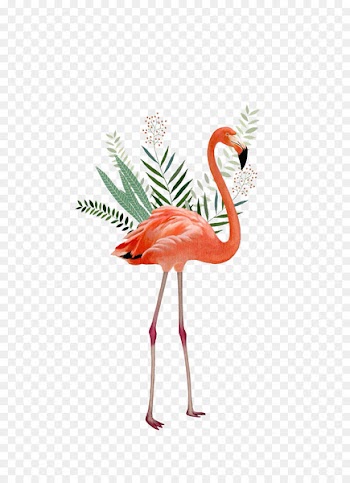 Flamingos Painting Illustration - crane 