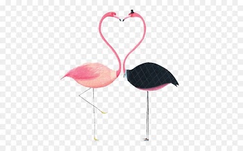 Flamingos Paper Drawing Illustration - Watercolor flamingo 