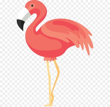 Flamingos Rendering Icon - Flamingos 