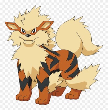 Flash Fire Nature - Ground And Fire Type Pokemon
