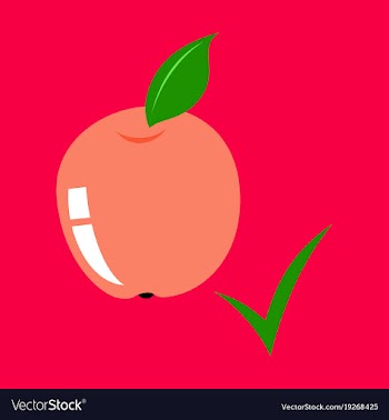 Flat apple with leaf realistic fresh isolated vector image