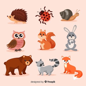 Flat autumn forest animal collection Free Vector