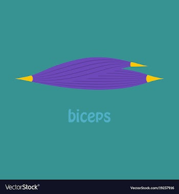 Flat biceps triceps - movement of the arm and vector image