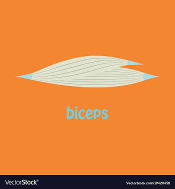 Flat biceps triceps - movement of the arm and vector image