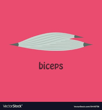 Flat biceps triceps - movement of the arm and vector image