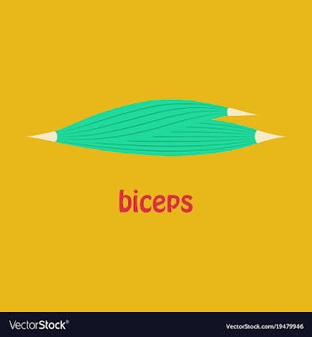 Flat biceps triceps - movement of the arm and vector image