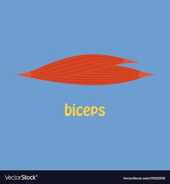 Flat biceps triceps - movement of the arm and vector image