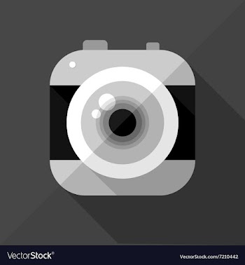 Flat camera icon vector image