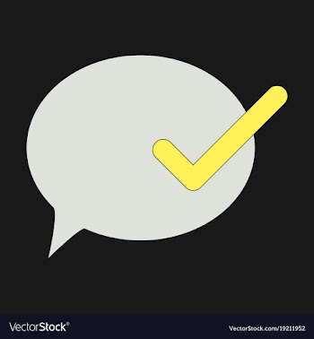 Flat check message flat icon vector image