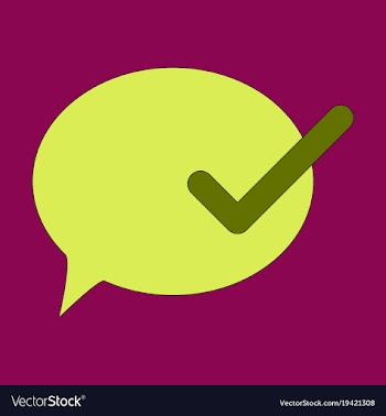 Flat check message flat icon vector image