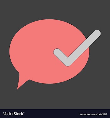 Flat check message flat icon vector image
