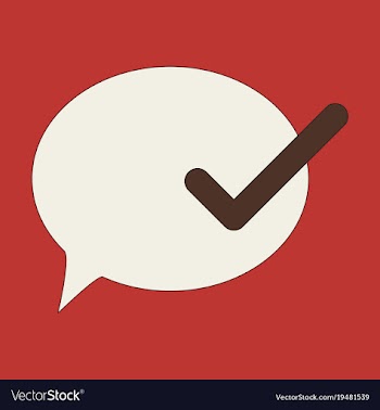 Flat check message flat icon vector image
