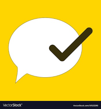 Flat check message flat icon vector image