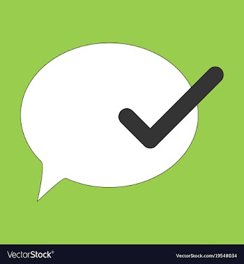 Flat check message flat icon vector image