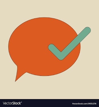 Flat check message flat icon vector image