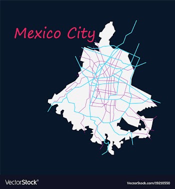 Flat color map of mexico city mexico city plan of vector image