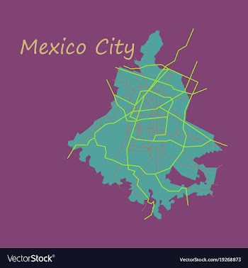 Flat color map of mexico city mexico city plan of vector image